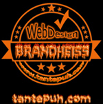 professionelles Webdesign und Homepage Erstellung - Webdesigner